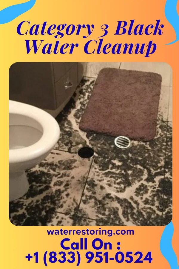 Category 3 Black Water Cleanup in Bingham Farms, MI