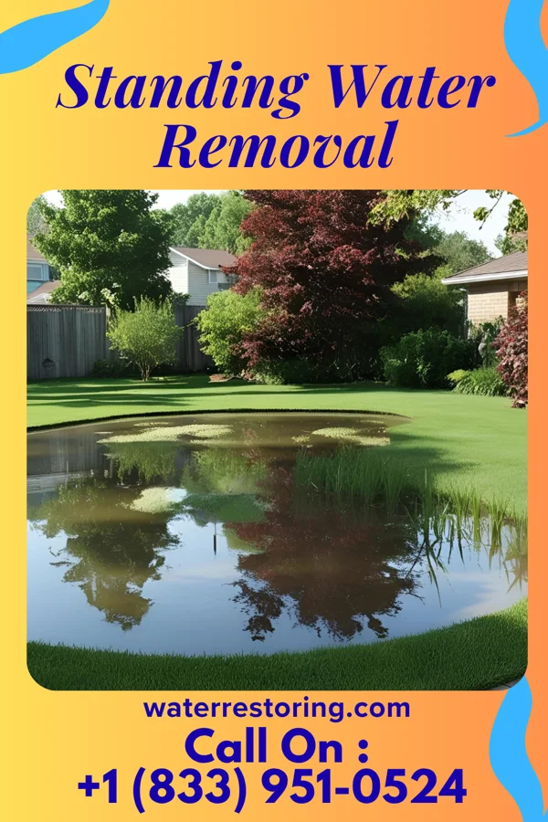 Standing Water Removal in Bingham Farms, MI